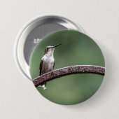 Da Little Hummingbird Button (Vorne & Hinten)
