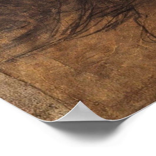 Da Vinci Burlington House Cartoon Poster (Ecke)