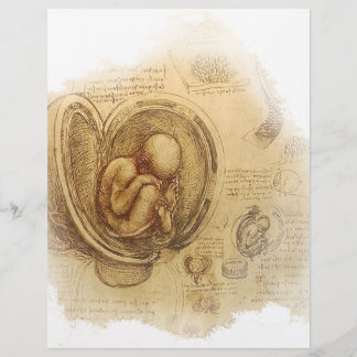 da Vinci - Embryo Sketch