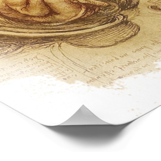 da Vinci - Embryo Sketch Poster (Ecke)