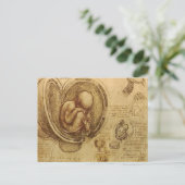 da Vinci - Embryo-Skizze Postkarte (Stehend Vorderseite)