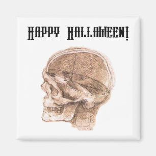 Da Vinci Halloween Science Anatomie Skull Print Magnet