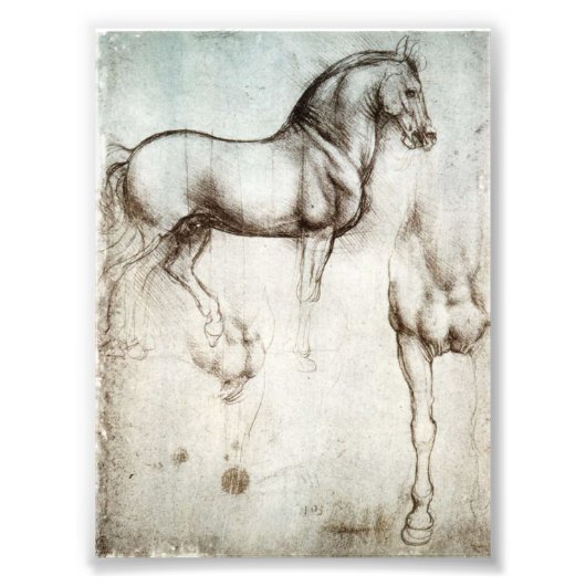 Da Vinci Horse Fotodruck (Vorne)