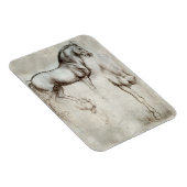 Da Vinci Horse Magnet (Rechte Seite)