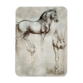 Da Vinci Horse Magnet (Vertikal)
