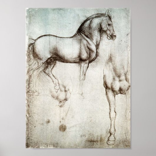 Da Vinci Horse Poster (Vorne)