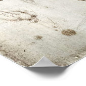 Da Vinci Horse Poster (Ecke)