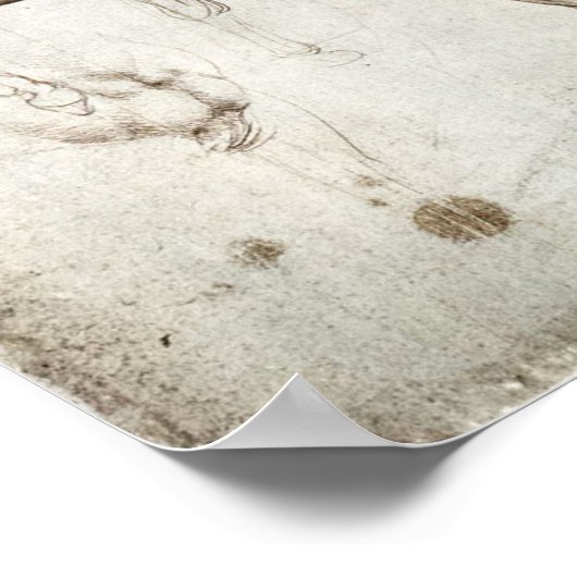 Da Vinci Horse Poster (Ecke)