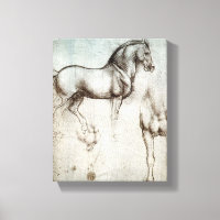 Da Vinci Horse Study Renaissance Sketch Kunst, Dic