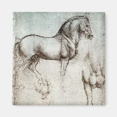 Da Vinci Horse Study Renaissance Sketch Kunst, Dic Magnet (Vorne)