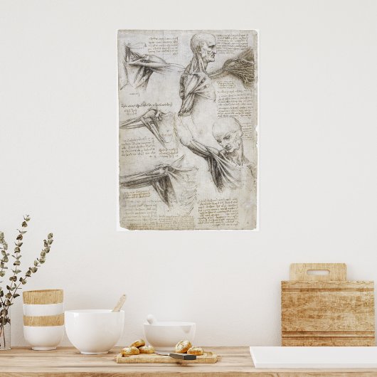 Da Vinci, Leonardo - Anatomie-Studie Poster (Küche)