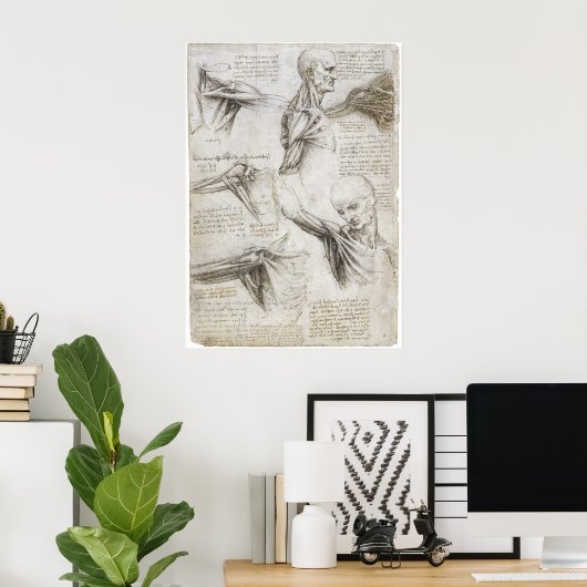 Da Vinci, Leonardo - Anatomie-Studie Poster (Heimbüro)