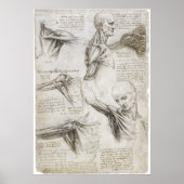 Da Vinci, Leonardo - Anatomie-Studie Poster (Vorne)