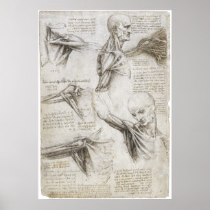 Da Vinci, Leonardo - Anatomie-Studie Poster