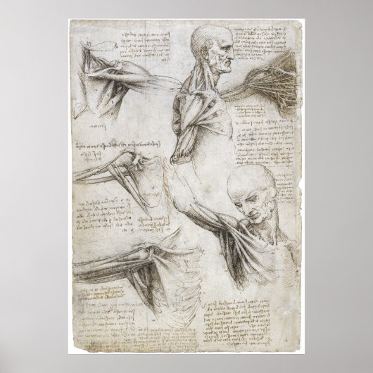 Da Vinci, Leonardo - Anatomie-Studie Poster (Vorne)