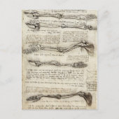 Da Vinci, Leonardo - Anatomie-Studie Postkarte (Vorderseite)