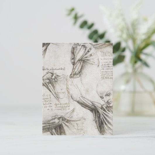 Da Vinci, Leonardo - Anatomie-Studie Postkarte (Stehend Vorderseite)