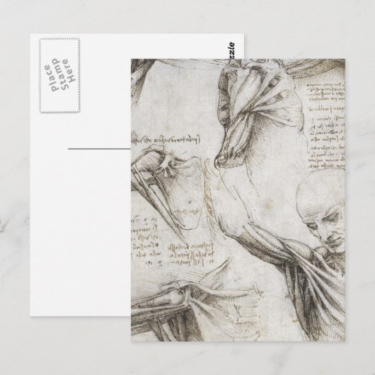 Da Vinci, Leonardo - Anatomie-Studie Postkarte (Vorne/Hinten)