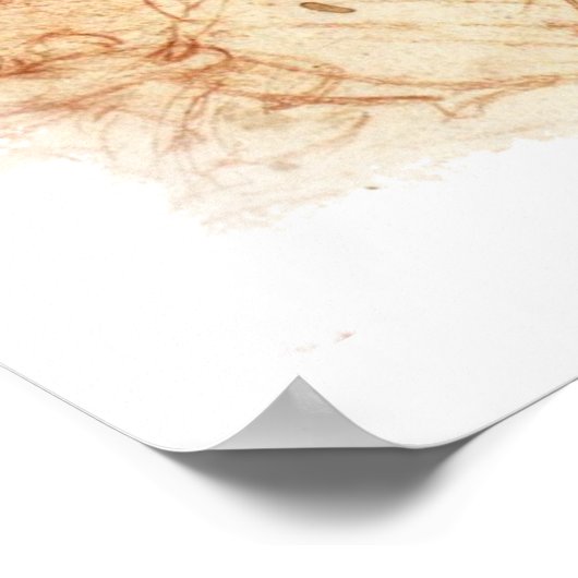 da Vinci - Mensch und Pferd Poster (Ecke)