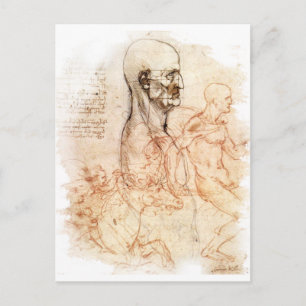 da Vinci -- Mensch und Pferd Skizze Postkarte