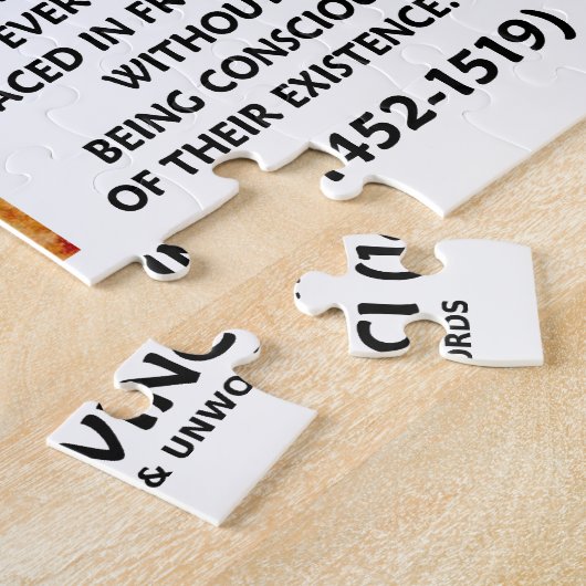 da Vinci Painter praktiziert Eye Reason Mirror Zit Puzzle (Seite)