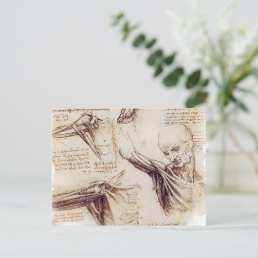 da Vinci -- Schulter-Skizze Postkarte (Stehend Vorderseite)