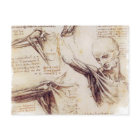 da Vinci -- Schulter-Skizze