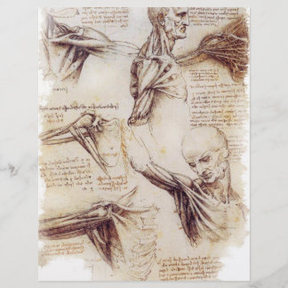 da Vinci — Schulterskizze Flyer