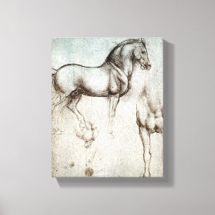 Da Vinci Study of a Horse Renaissance Kunst Leinwanddruck