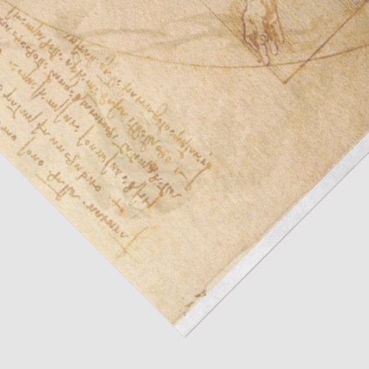 Da Vinci Vitruvian Man Decoupage Seidenpapier (Ausschnitt)