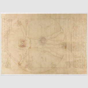 Da Vinci Vitruvian Man Decoupage Seidenpapier