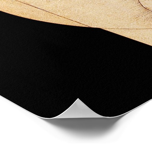 Da Vinci Vitruvian Man Poster (Ecke)