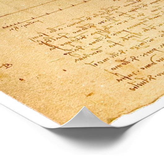 Da Vinci Vitruvian Man Poster (Ecke)