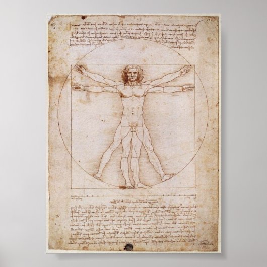 Da Vinci: Vitruvian Man Poster (Vorne)