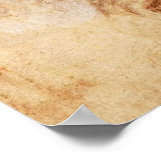 Da Vinci Woman's Head Poster (Ecke)