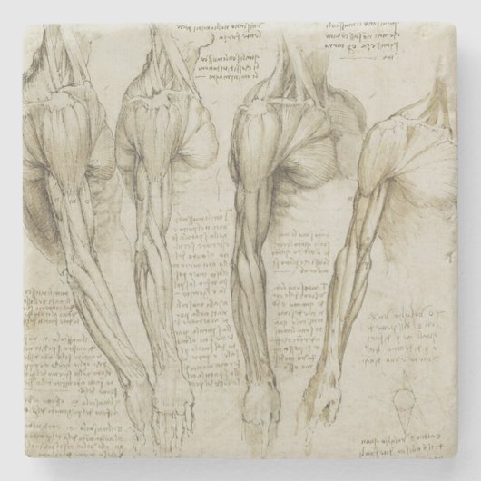 Da Vincis menschliche Arm-Anatomie Steinuntersetzer (Vorderseite)