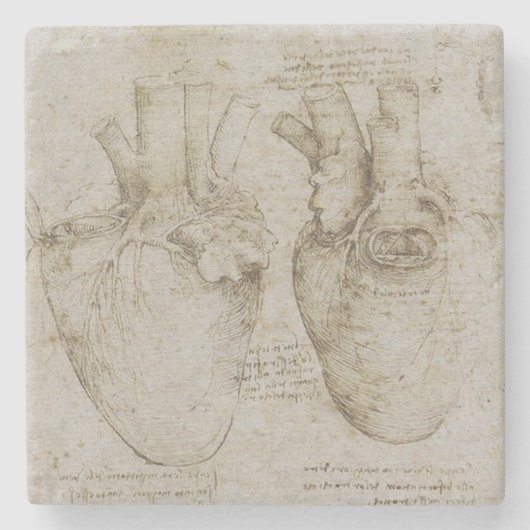 Da Vincis menschliche Herz-Anatomie Steinuntersetzer (Vorderseite)