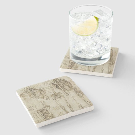 Da Vincis menschliche Skeleton Anatomie-Skizzen Steinuntersetzer (Seitenansicht)