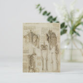 Da Vincis Skeletton-Anatomie-Skizzen Postkarte (Stehend Vorderseite)