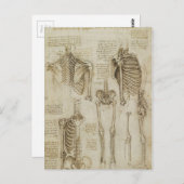 Da Vincis Skeletton-Anatomie-Skizzen Postkarte (Vorne/Hinten)