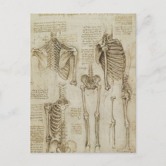 Da Vincis Skeletton-Anatomie-Skizzen Postkarte (Vorderseite)