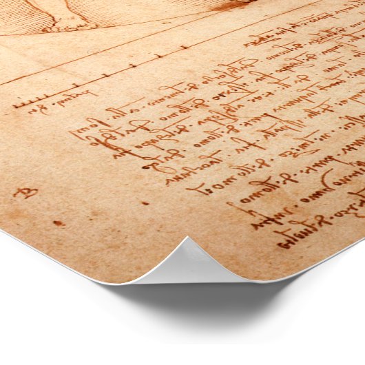 Da Vincis Vitruvian Man (1487) Poster (Ecke)