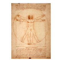 Da Vincis Vitruvian Man (1487)