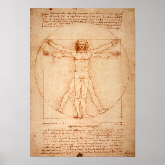 Da Vincis Vitruvian Man (1487) Poster (Vorne)