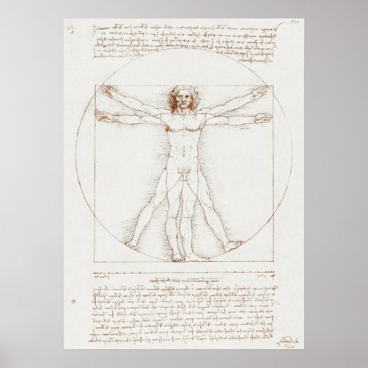 Da Vinci's Vitruvian Man Poster (Vorne)