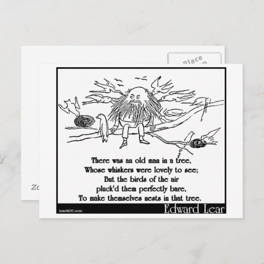 Da war ein alter Mann im Baum Postkarte (Vorne/Hinten)