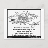 Da war ein alter Mann im Baum Postkarte (Vorderseite)