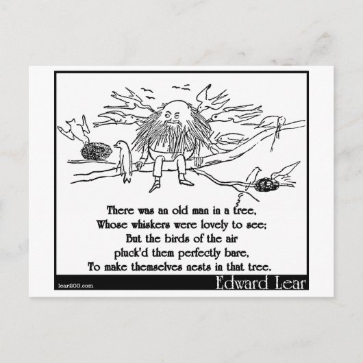 Da war ein alter Mann im Baum Postkarte (Vorderseite)