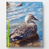 Dabbling Ripples Fotoplatte (Vorderseite)