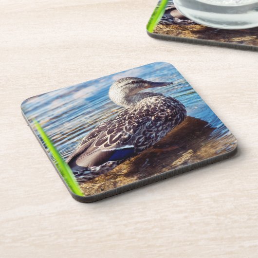 Dabbling Ripples Getränkeuntersetzer (Linke Seite)